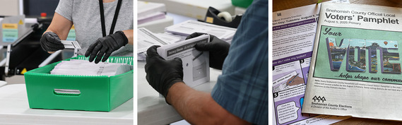 Election staff processing ballots during the August Primary