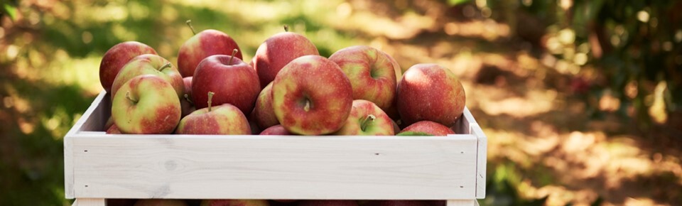 September Header Picture 4