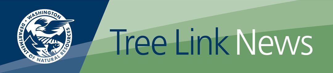 Tree Link Article