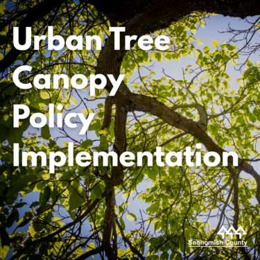 Image of tree with text "Urban Tree Canopy Policy Implementation"