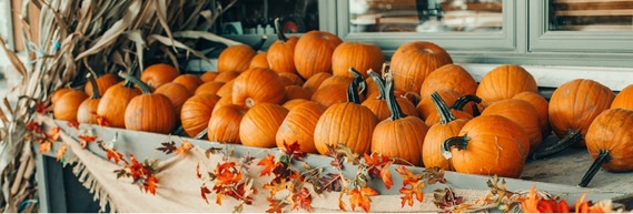 October Section Pic 1 