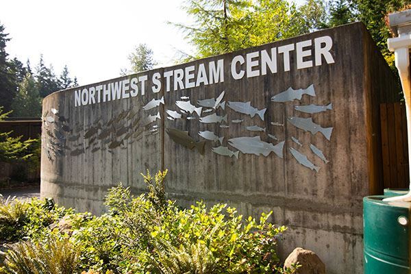 NW Stream Center