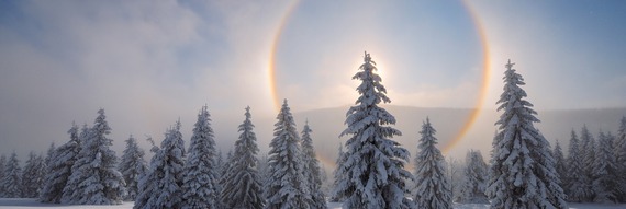 January Section Pic 1