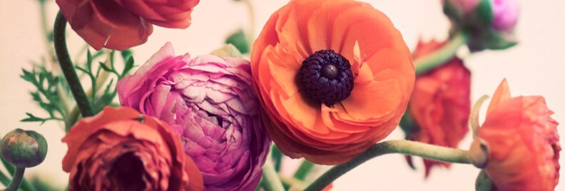 January Section Pic 3