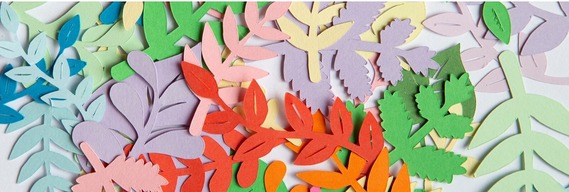 March 2026 Section Pic 4