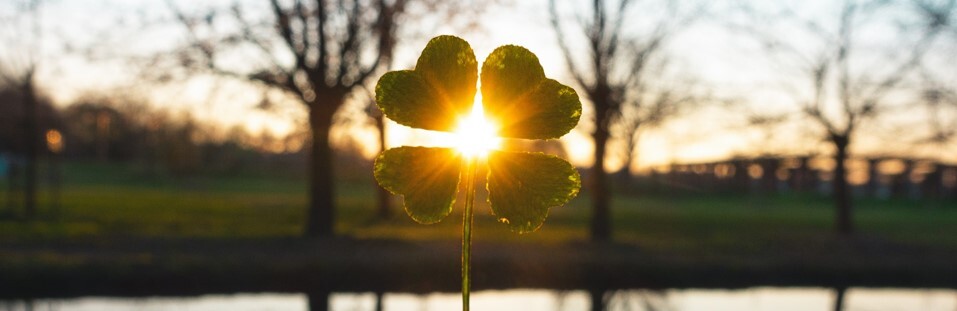 March 2026 Section Pic 3