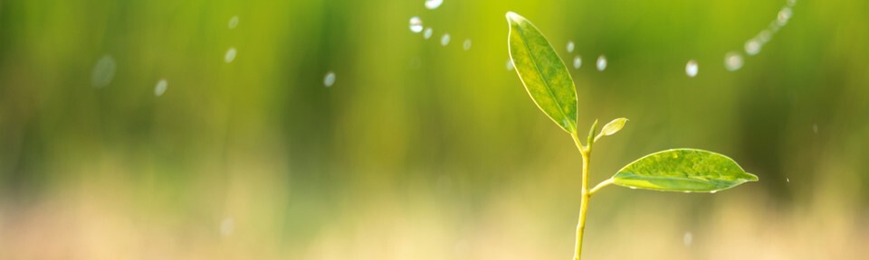 April Section Header 5