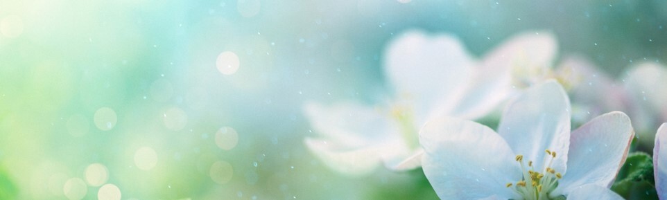 May Section Pic 4