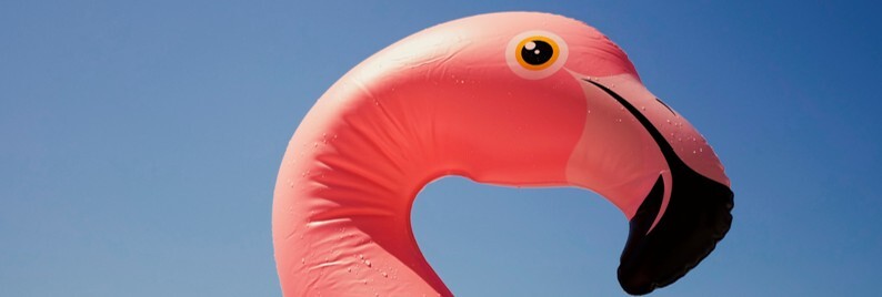 August Section Pic Header 1