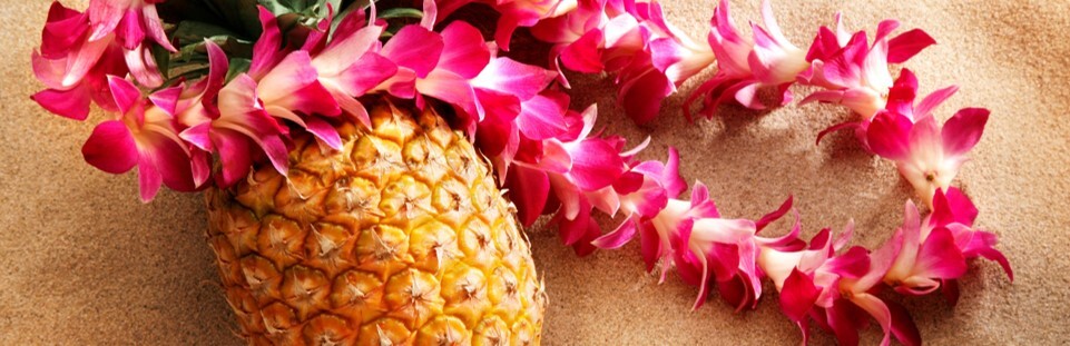 August Section Pic Header 2