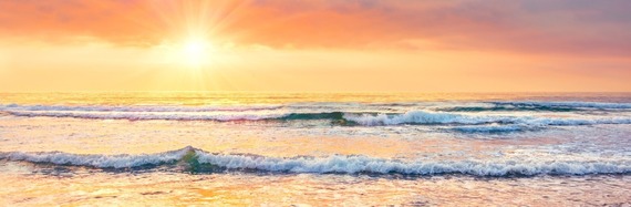 August Section Pic Header 4