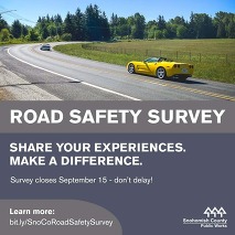 Road Safety Survey Poster