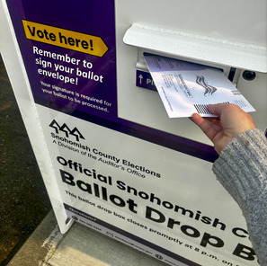 Voter returning ballot to drop box