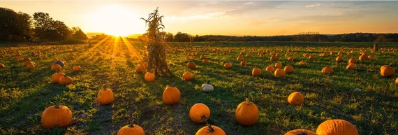 October 2026 Section Picture 1