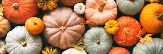 October 2026 Section Picture 4