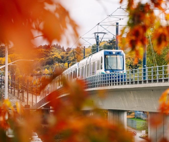 Link train with fall leaves