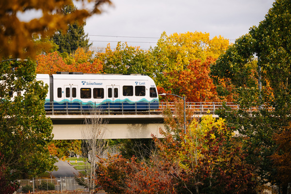 Sound Transit light rail train travels on an elevated track, surrounded by autumn trees with yellow, orange, and red foliage.