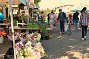 farmers market 