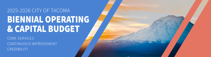 Budget development banner