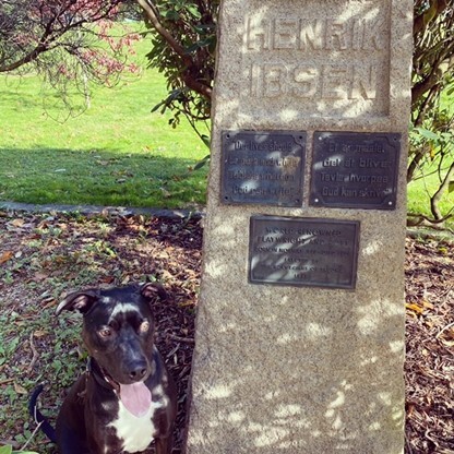 First dog Henrik Ibsen