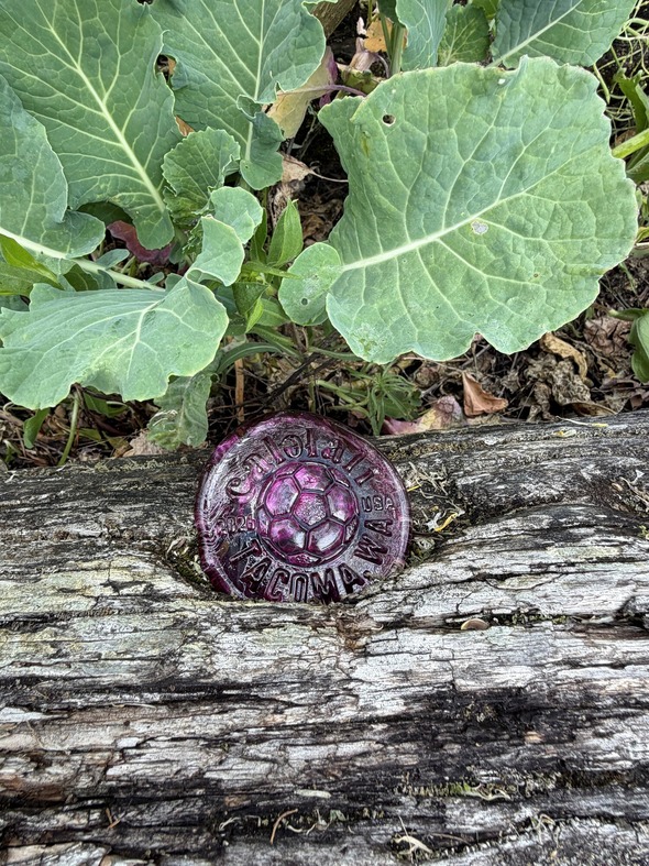 Hidden medallion 