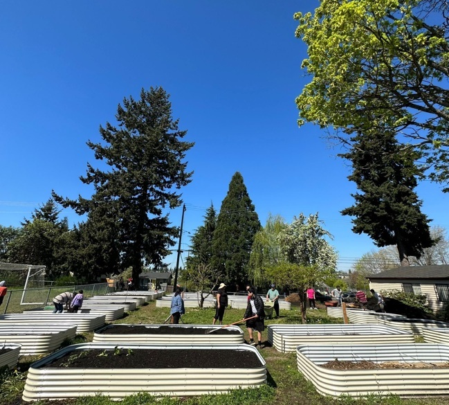 People gardening in an area with many raised planter boxes.