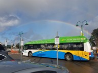Rainbow Transit 