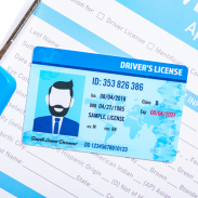 Drivers License