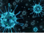 photo of virus under a microscope