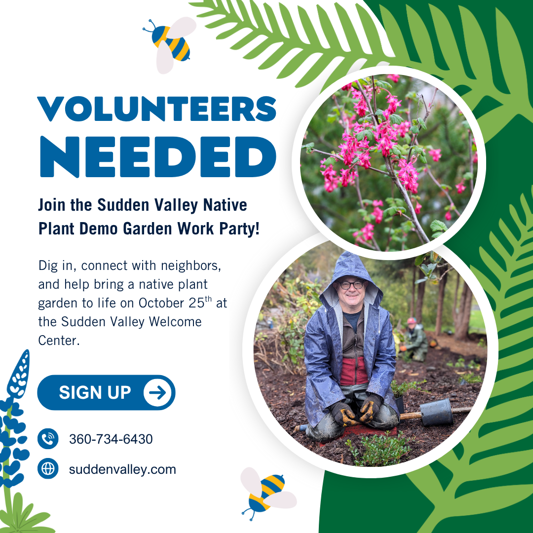 Sudden Valley Demo Garden Work Party - Volunteers Needed October 25th