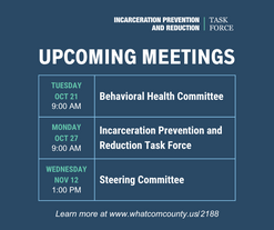 iprtf meetings graphic