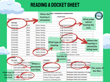 How to read docket sheet thumbnail