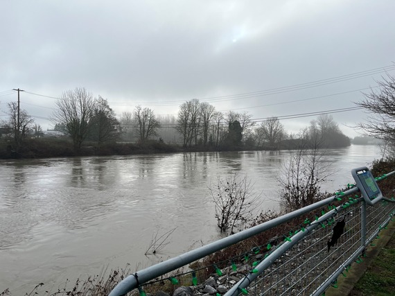 Nooksack River in Ferndale