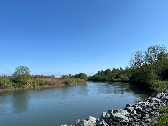Nooksack River