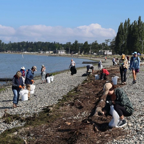 Volunteers help clean up beach in Birch Bay after Fourth of July