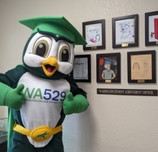 Hootie and art contest submissions