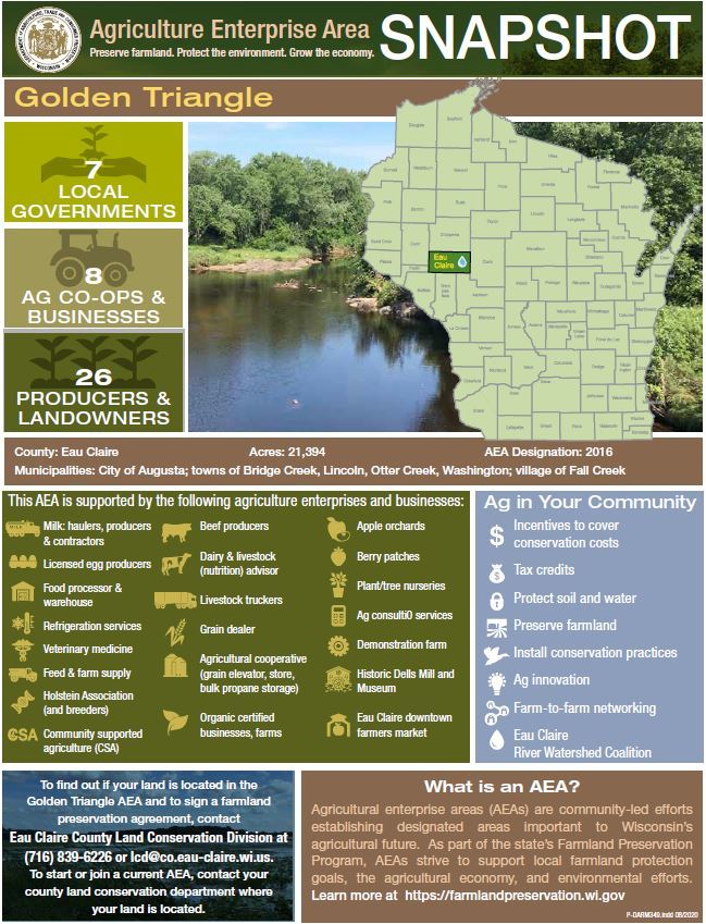 AEA Spotlight Golden Triangle