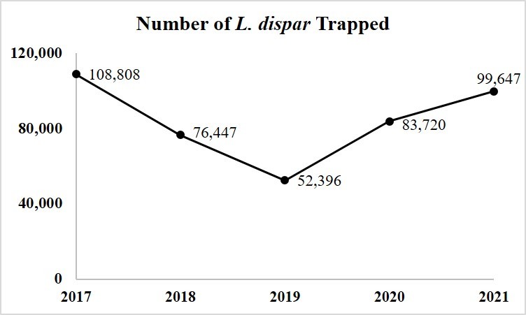 Number of L dispar Trapped
