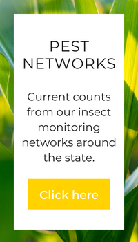 Pest networks box