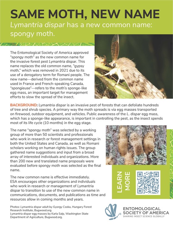 ESA Spongy Moth Flyer