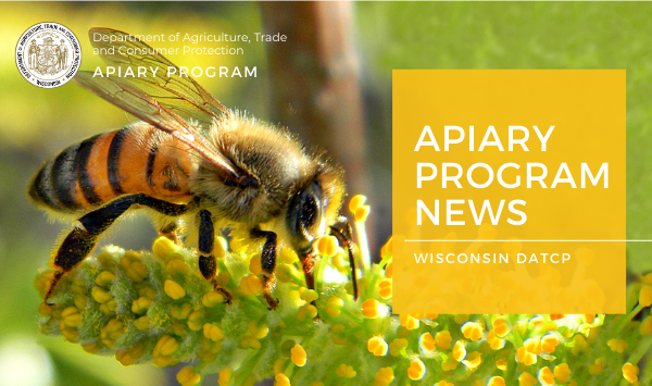 Apiary_Program_News_Plant Industry e-news banners 600 x 355