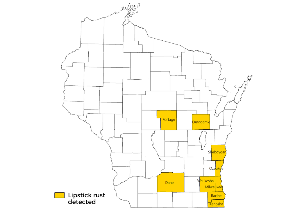 Lipstick Rust Detections in Wisconsin 2021-2022 Map