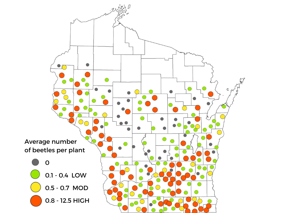 Corn rootworm beetle survey results map 2022