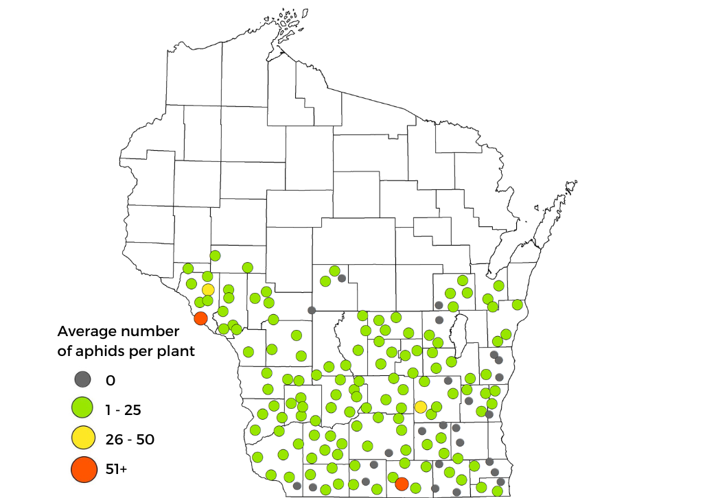 Soybean aphid survey results map 2022