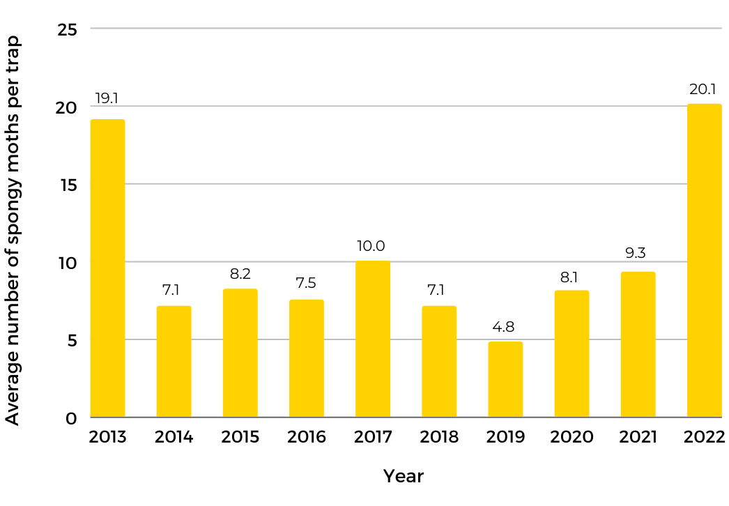 Average number of spongy moths per trap 2013-2022 graph