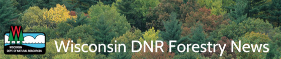 WDNR Forestry News