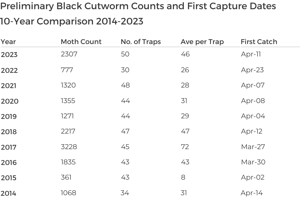 Black cutworm counts and first catch date table