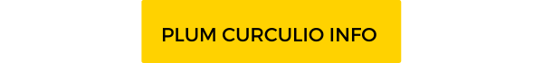 Plum curculio info button