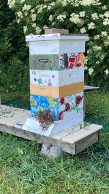 Honey-Bee-Hives-Painted-DS-20220629-0151_crop02