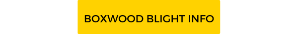 Boxwood Blight info button